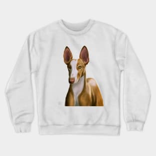 Ibizan Hound Crewneck Sweatshirt